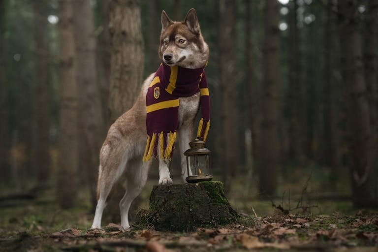 The Ultimate Guide to Fantasy Ebooks in 2026